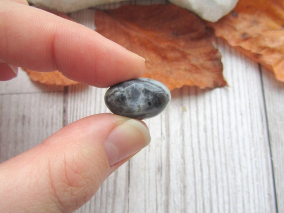 One Silver Leaf Jasper Natural Tumbled Stone Approx 15 mm Trusted Seller Crystals Mineral Specimens Karibu Travels Collectibles