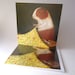 see more listings in the Greetings Cards section