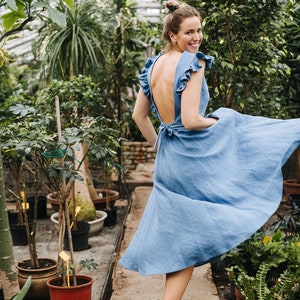 Puede incluir: Una mujer con un vestido azul claro con la espalda descubierta y volantes en las mangas est&aacute; de pie en un invernadero. Est&aacute; sonriendo y mirando por encima del hombro. El vestido ondea con la brisa.
