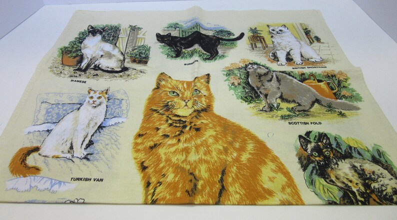 Vintage Cotton Tea Towel 1926 Cats British Shorthair Scottish Etsy