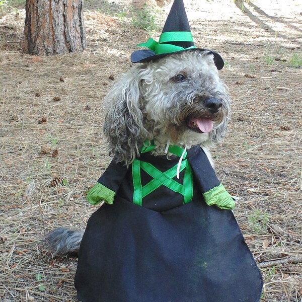 Dog Witch Halloween Costume in Size Medium with dress, bloomers, and hat!
