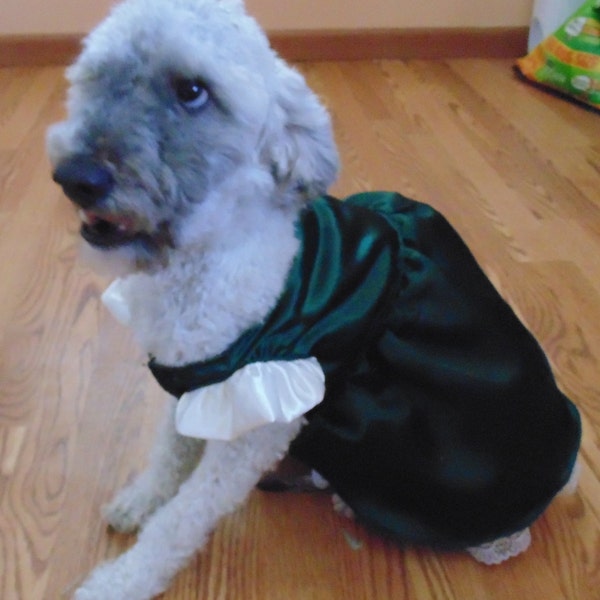 Celtic Princess Dog Princess Dress Costume