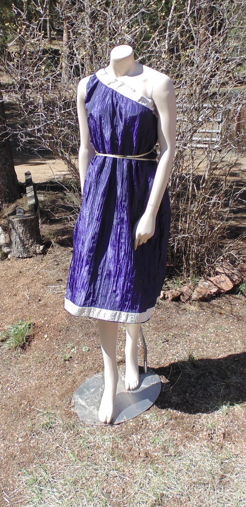 Greek Toga Dress in Deep Purple with Greek Key and Ribbon Belt | Etsy
