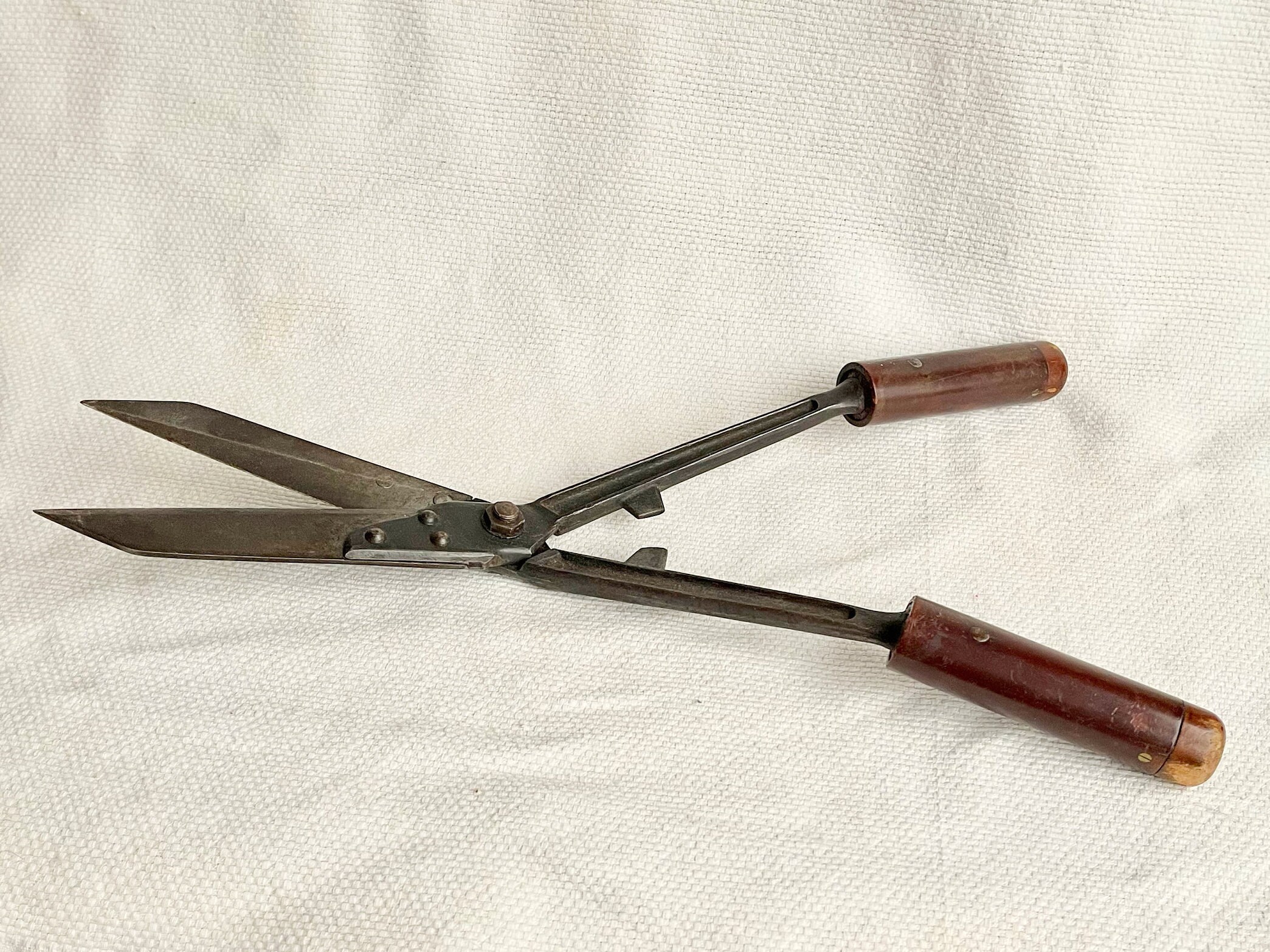 Long Reach Hedge Trimmer for sale Only 3 left at 70