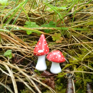 Toadstools for fairy garden or terrarium image 2