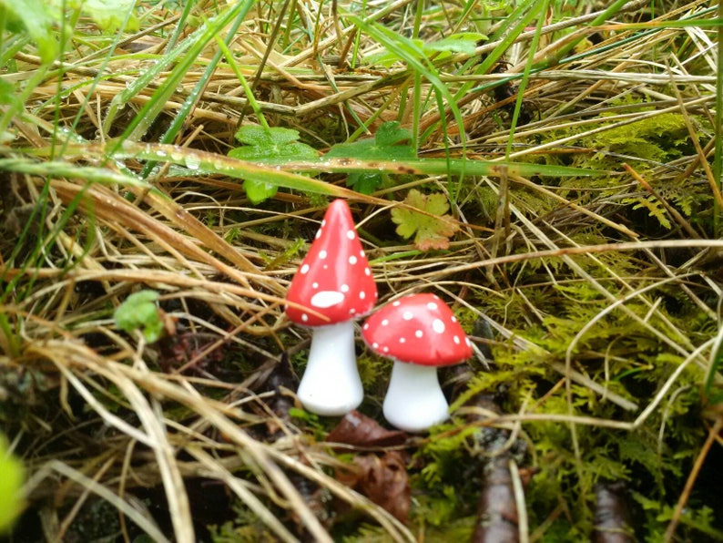 Toadstools for fairy garden or terrarium image 2