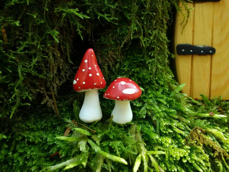 Toadstools for fairy garden or terrarium image 1