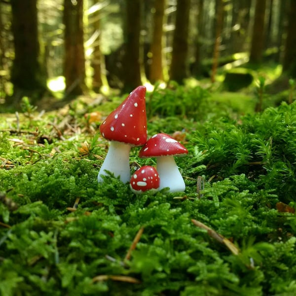 Toadstools for fairy garden or terrarium