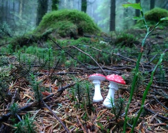 Toadstools for fairy garden or terrarium