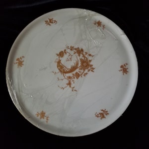 Platter Porcelaine d&#39;art Limoges France 13 Inches Vintage New in Wrapper Serving Plate FREE SHIPPING