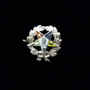 Order of the Eastern Star Lapel Pin 10K White Gold OES Masonic Vintage FREE SHIPPING