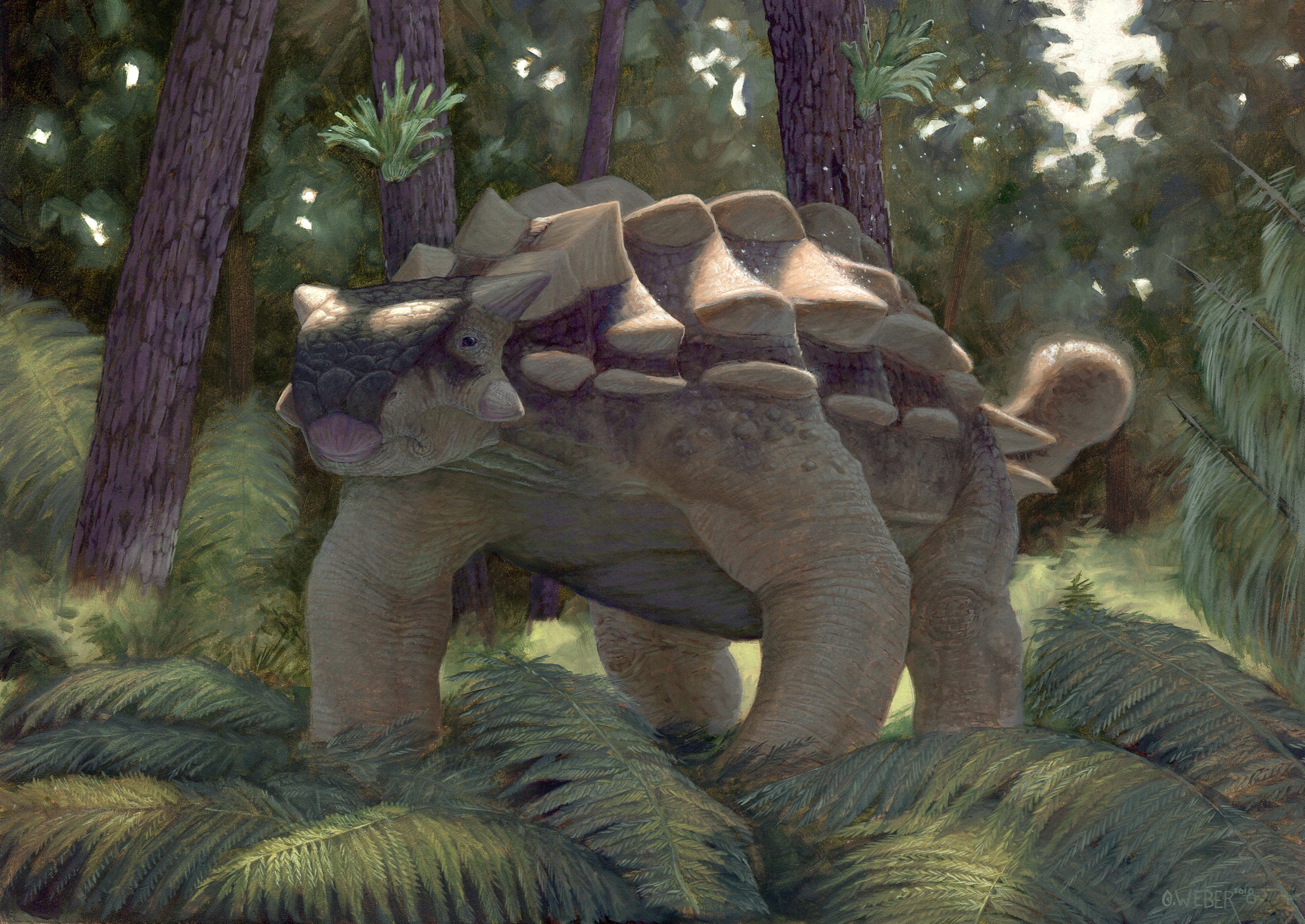 Ankylosaurus