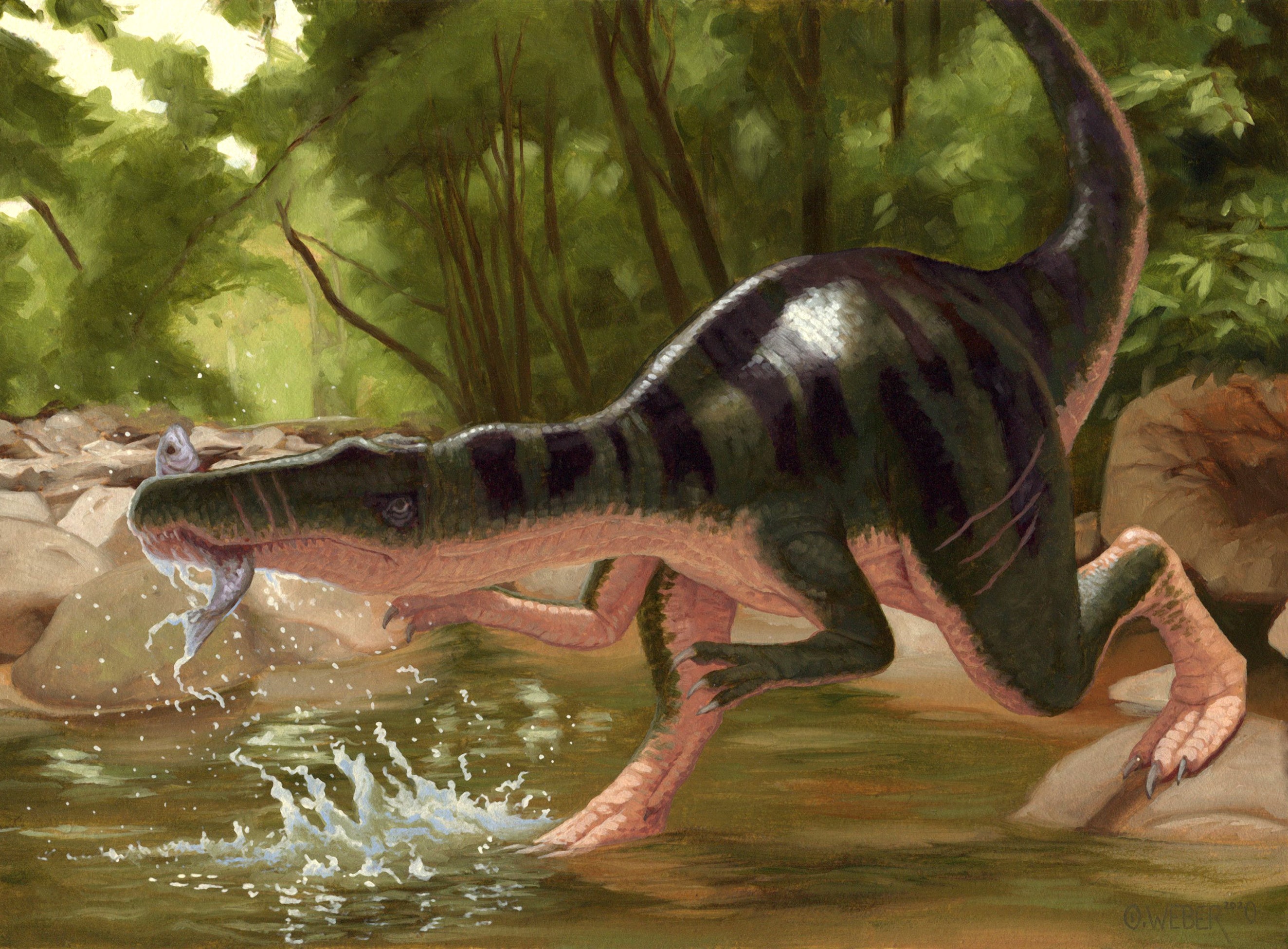Dinosaur Poster Baryonyx