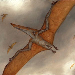 Impression d'archives Ptéranodon : oeuvre de dinosaure signée (5 x 7)