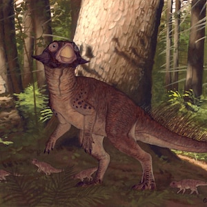 Psittacosaurus Painting Print - Dinosaur Art (7x5)