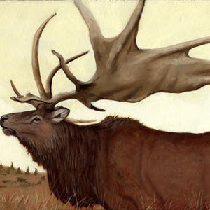 Irish Elk Print: Megaloceros Reproduction Painting