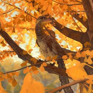 Archaeopteryx print