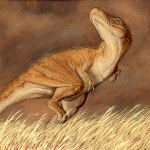 Impression Tyrannosaurus Rex