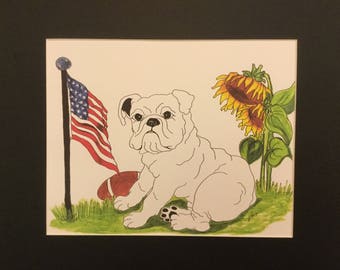 All American Dog