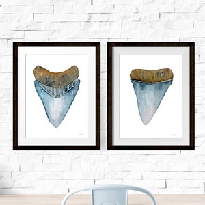 Shark Teeth Watercolor Prints, Set of Two, Blue, Beach House Decor