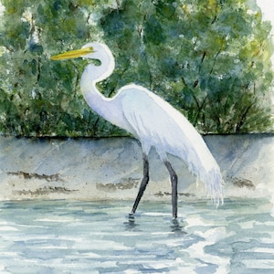 Stampa ad acquerello di airone bianco, airone della Florida, arte degli uccelli del sud-est, arte della natura costiera, arte murale della fauna selvatica della Florida