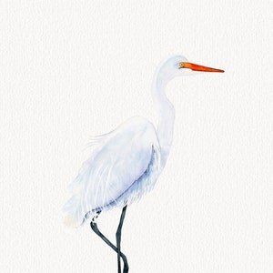 White Egret 2 Watercolor Print, Florida Egret, Great White Heron, Coastal Wildlife Wall Art, Florida Wildlife Watercolor