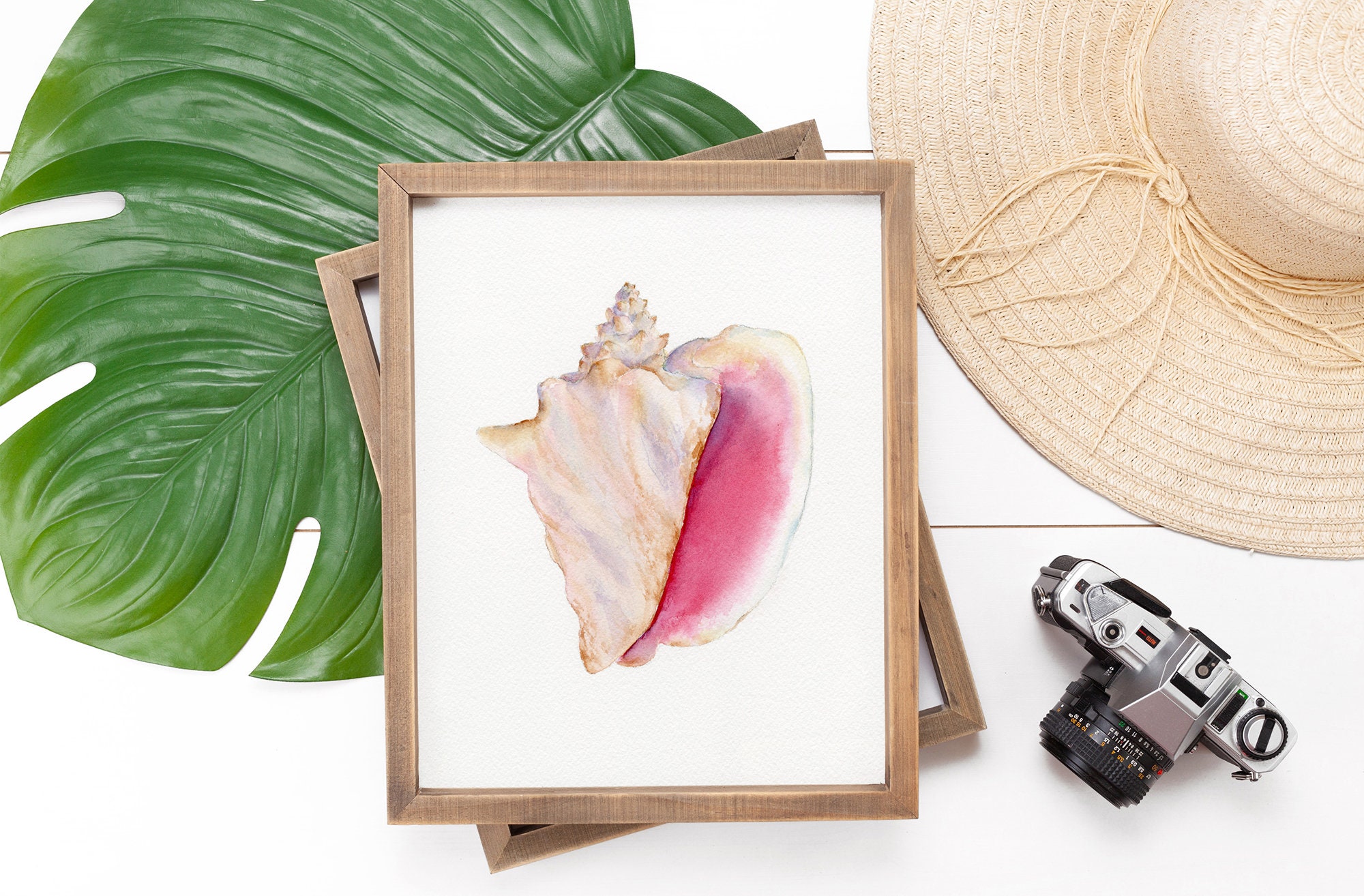 Lorelei's Shell, Watercolor Conch Shell Print, Coastal Sea Shell ...