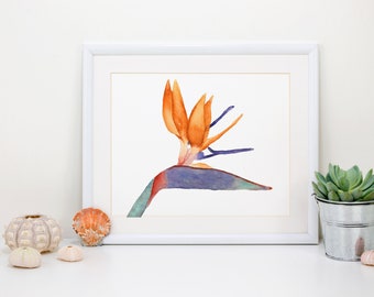 Bird of Paradise Watercolor Print, Tropical Floral Art, Botanical Painting, Flower Drawing