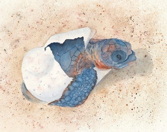 Baby Sea Turtle Watercolor Print, Hatchling Sea Turtle, Coastal Home Decor, Nautical Wildlife, Beach House Art