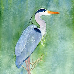 Blue Heron Watercolor Print, Coastal Wildlife Art, Southeastern Bird, Gift for Bird Watcher