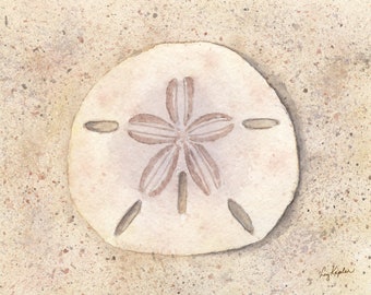 Sand Dollar Watercolor Print, Coastal Art Gift, Beach Art, Sea Life Art