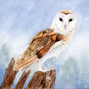 Barn Owl Watercolor Print, Bird Wildlife Watercolor Art, Owl Painting, Barn Owl Art Print, Bird Enthusiast
