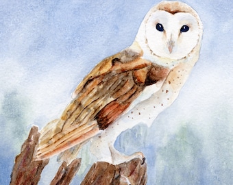 Barn Owl Watercolor Print, Bird Wildlife Watercolor Art, Owl Painting, Barn Owl Art Print, Bird Enthusiast