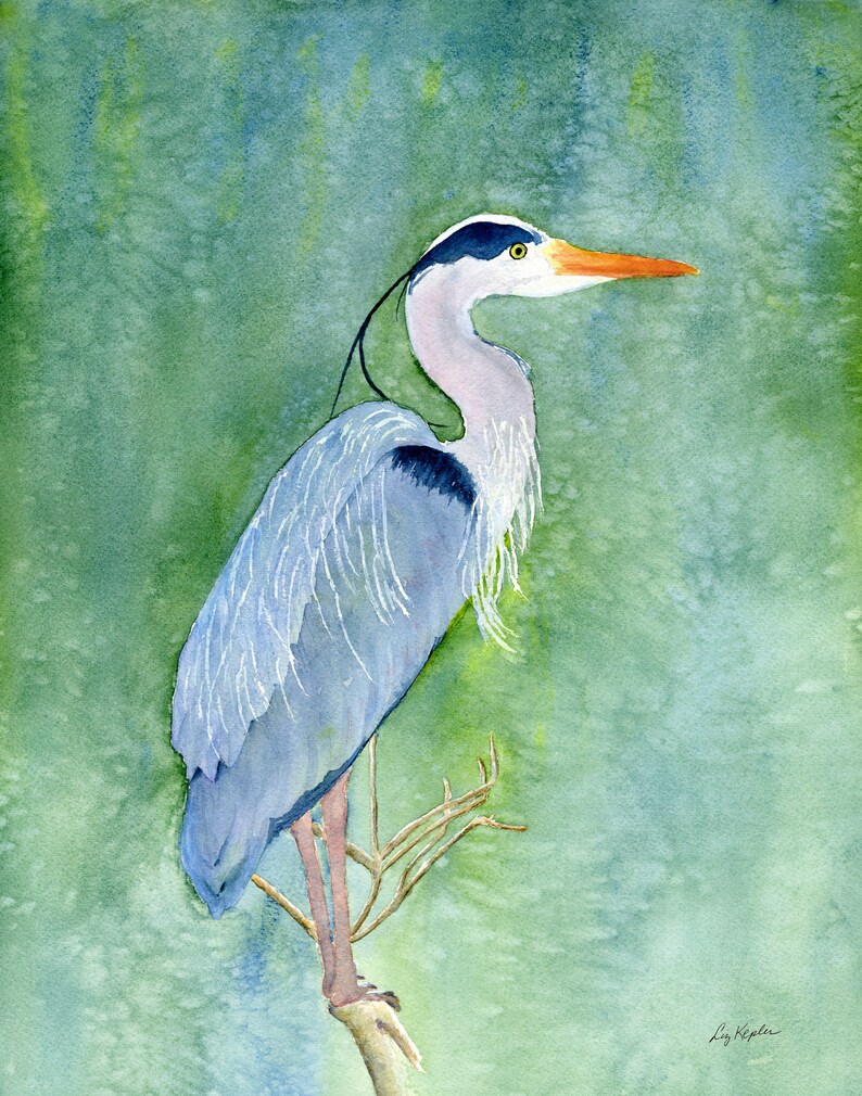 Blue Heron Watercolor Print Bird Wildlife Art Southeastern - Etsy Canada
