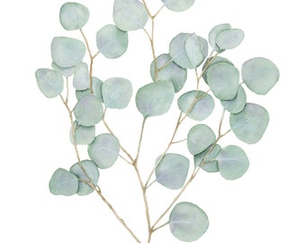 Watercolor Eucalyptus Print 2, Floral Watercolor, Botanical Wall Art