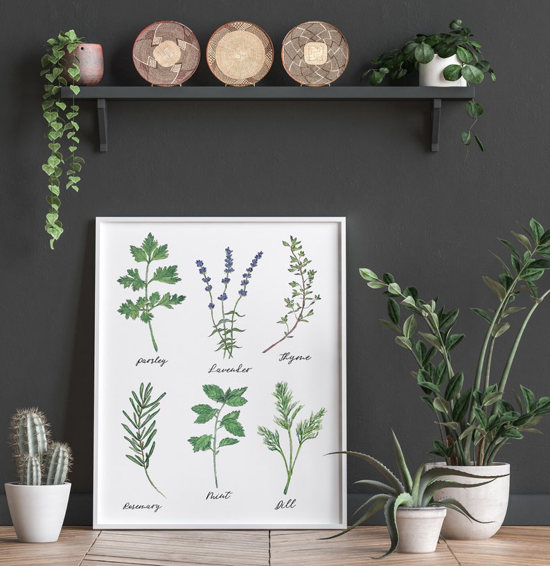 Herb Collage Watercolor Print, Kitchen Herb Decor, Organic Food Art ...