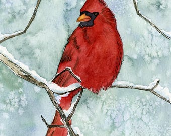 Red Cardinal Watercolor Giclee Print, Winter Bird Art