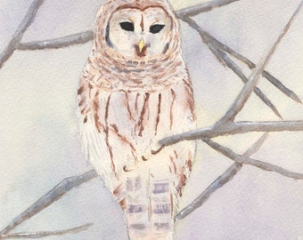 Barred Owl Watercolor Print, Bird Wildlife Painting, White Owl Painting, Nature Wall Art