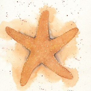 Starfish Watercolor Art Print, Coastal Sea Life Wall Decor