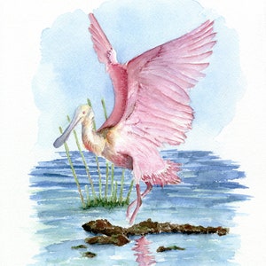 Rosetta Spoonbill Watercolor Print, Pink Bird Watercolor, Southeast Bird Art, Coastal Nature Art