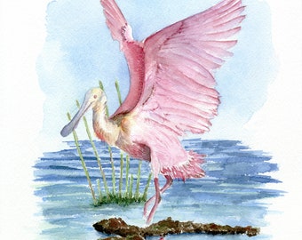 Rosetta Spoonbill Watercolor Print, Pink Bird Watercolor, Southeast Bird Art, Coastal Nature Art