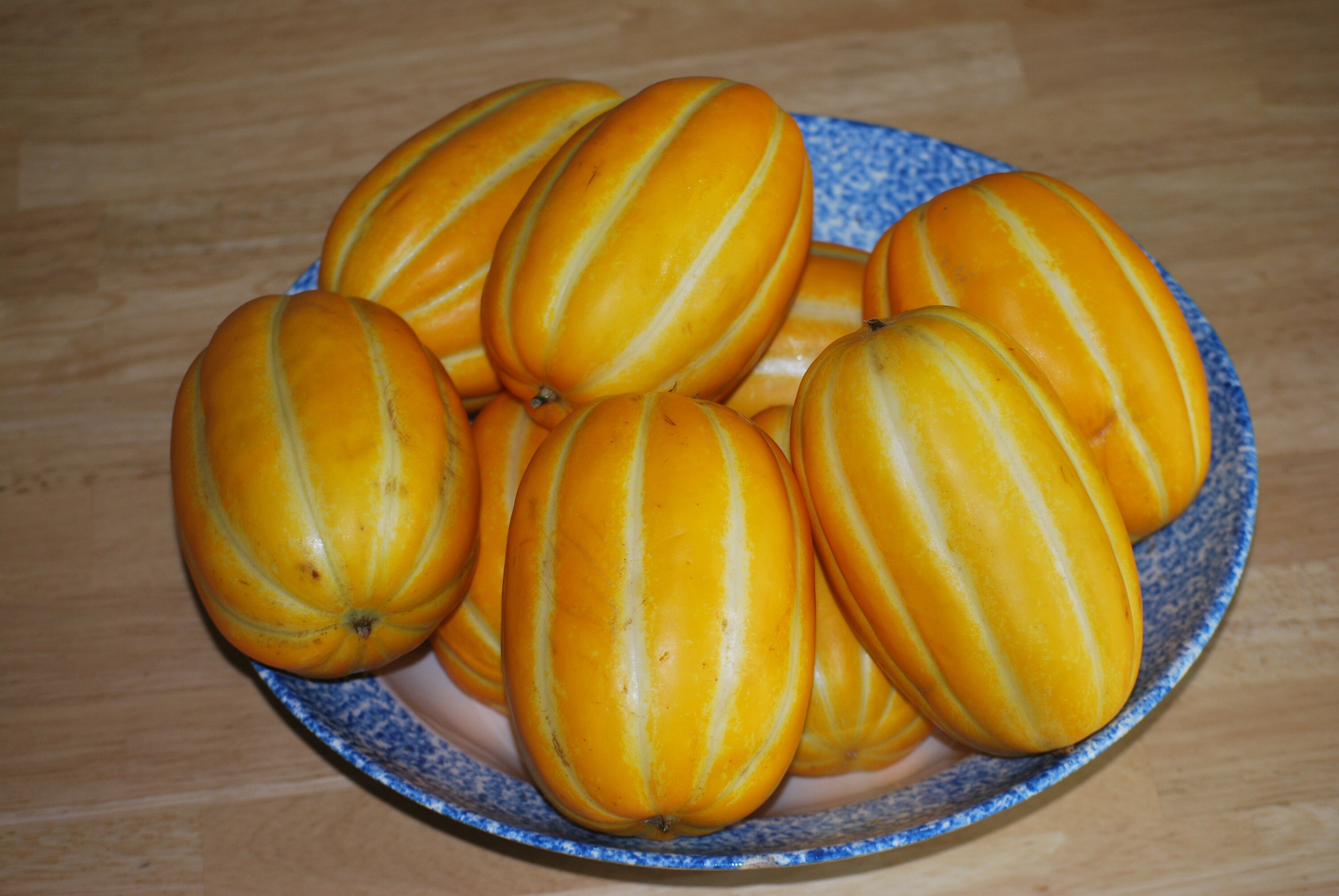 Korean Melon 참외seeds 20 Melon seeds Etsy