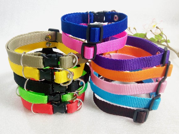 dog collar webbing wholesale