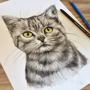 May include: A black and white charcoal drawing of a cat with yellow eyes. The cat is looking directly at the viewer. The drawing is signed "L. Bay" in the bottom right corner.