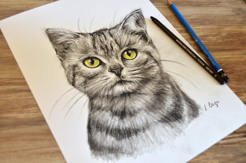 May include: A black and white charcoal drawing of a cat with yellow eyes. The cat is looking directly at the viewer. The drawing is signed "L. Bay" in the bottom right corner.