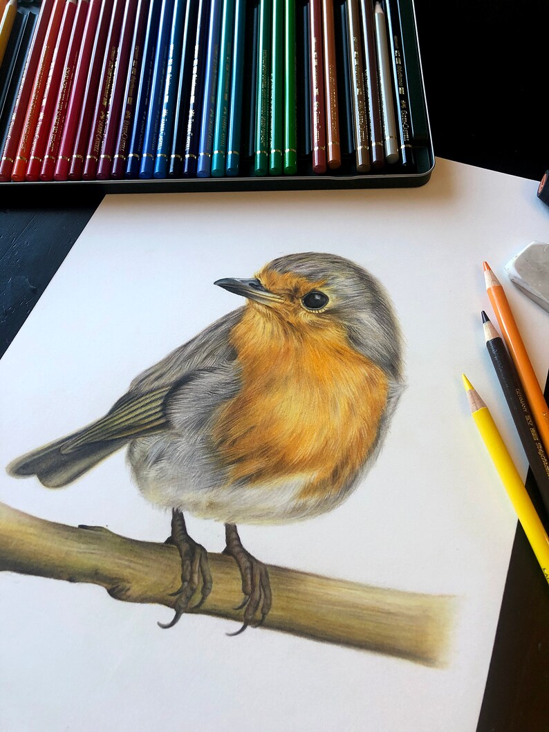 Robin Bird Printable Greeting Card Any Occasion Blank Note | Etsy