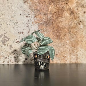 May include: A small, dark gray planter pot with a monster face design, holding a green plant with striped leaves. The pot has sharp teeth and glowing orange eyes. The background is a textured, mottled brown and beige wall.