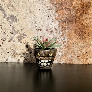May include: A small, handcrafted ceramic planter with a grinning face design. The planter is dark brown with yellow eyes and white teeth. It contains a small succulent plant with green and pink leaves. The background is a textured, mottled brown and beige.