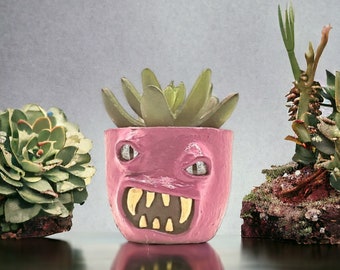 Mini Monster Pot - Pink with Succulent