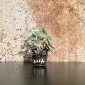 May include: A small, dark brown ceramic planter with a monster face design, featuring blue eyes and white teeth, holds a green and white plant. The planter sits on a black surface against a textured brown and beige wall.